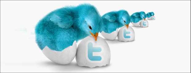 Community Management - Twitter desde cero